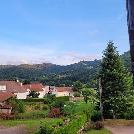 Appartement Chaleureux Au Coeur Des Hautes Vosges Ventron Eksteriør billede