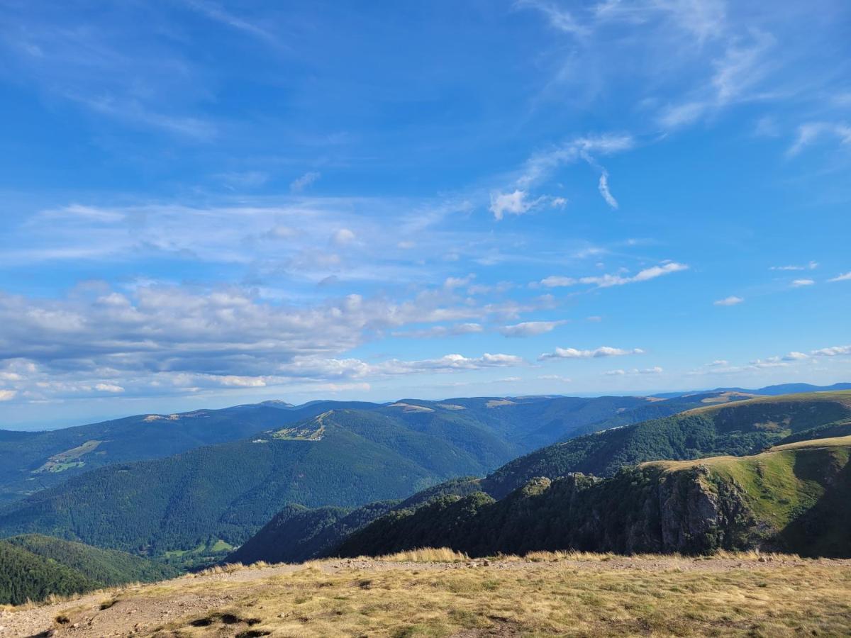 Appartement Chaleureux Au Coeur Des Hautes Vosges Ventron Eksteriør billede