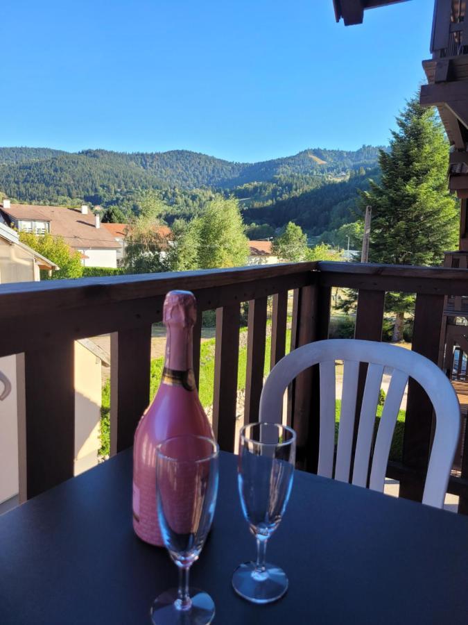 Appartement Chaleureux Au Coeur Des Hautes Vosges Ventron Eksteriør billede