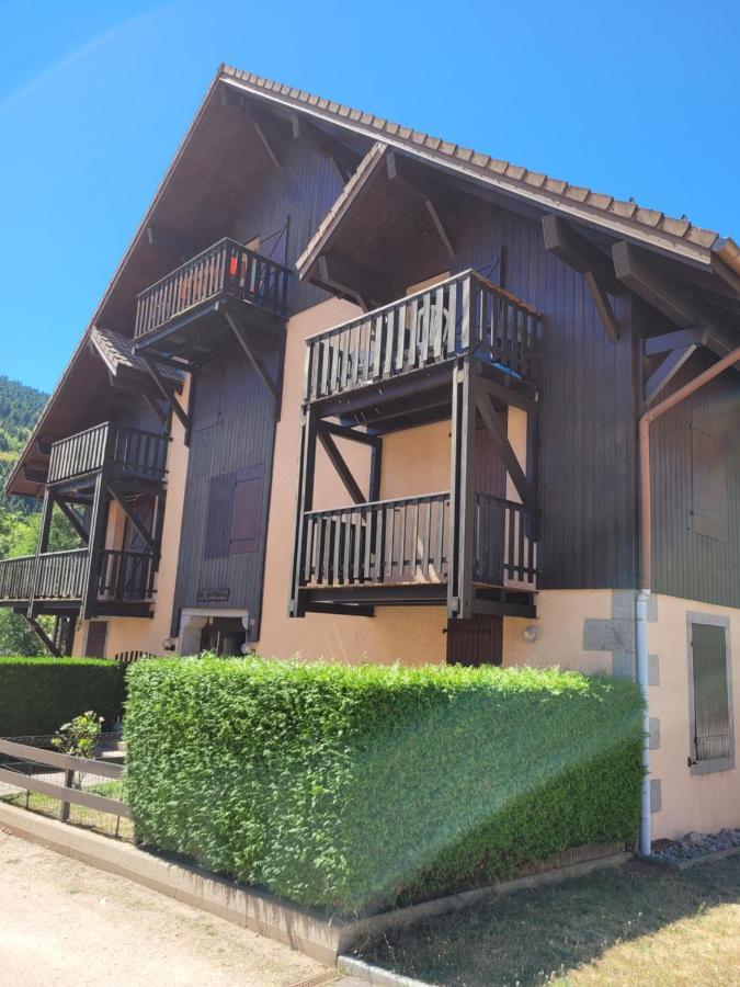 Appartement Chaleureux Au Coeur Des Hautes Vosges Ventron Eksteriør billede