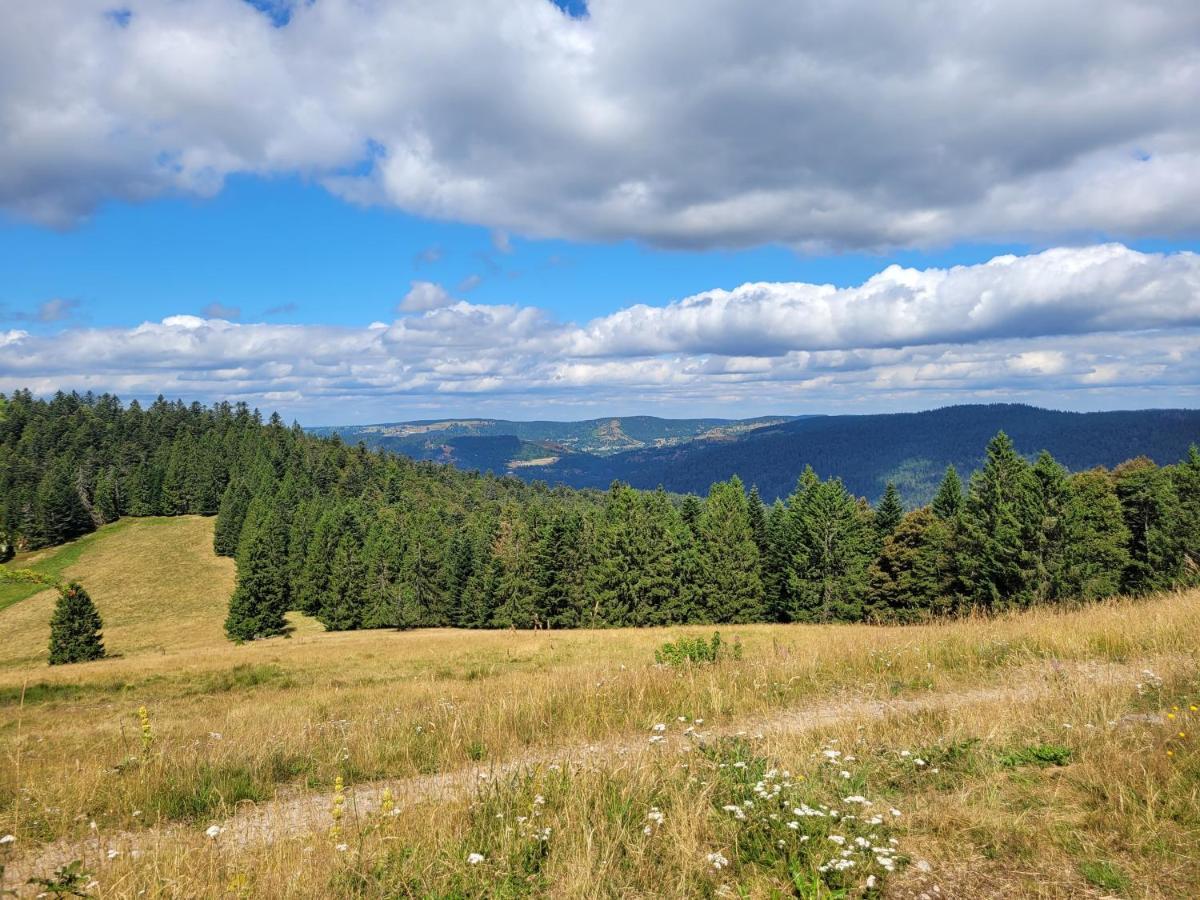 Appartement Chaleureux Au Coeur Des Hautes Vosges Ventron Eksteriør billede