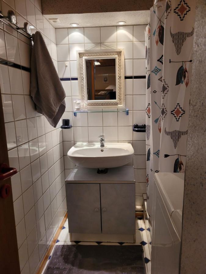 Appartement Chaleureux Au Coeur Des Hautes Vosges Ventron Eksteriør billede