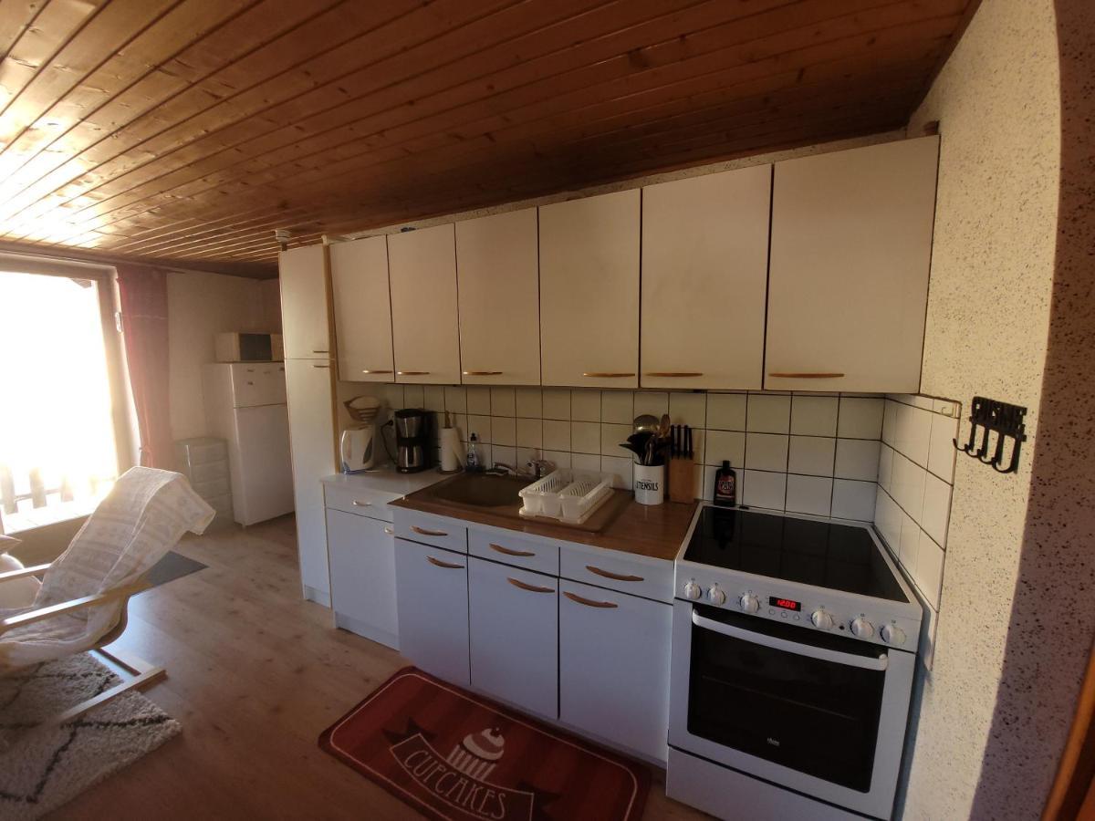 Appartement Chaleureux Au Coeur Des Hautes Vosges Ventron Eksteriør billede