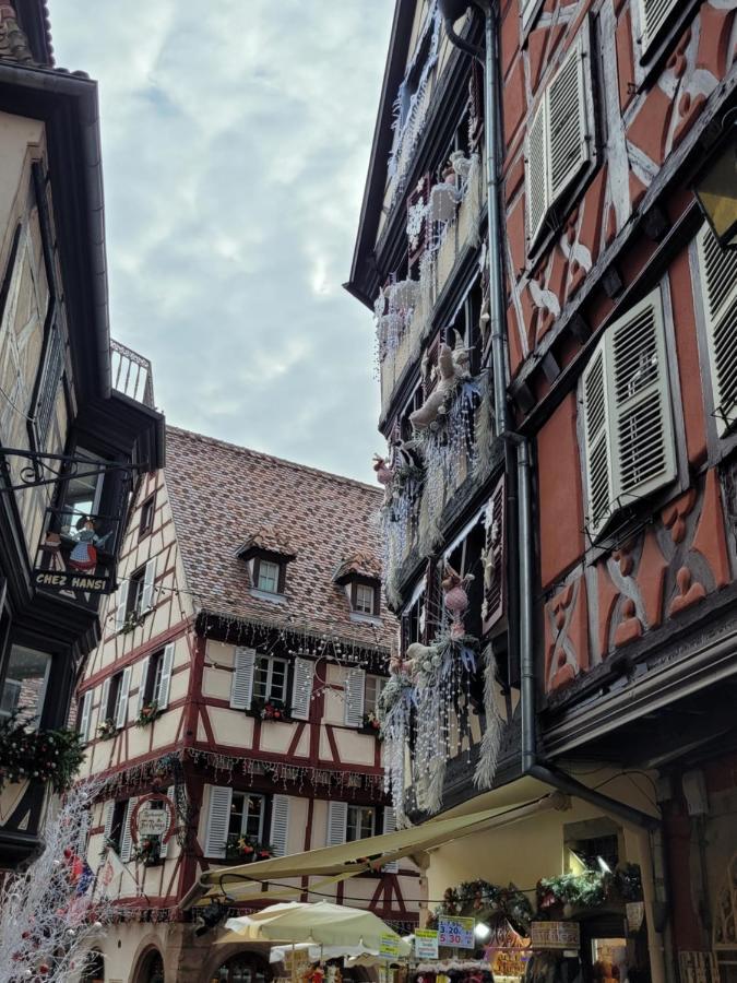 Appartement Chaleureux Au Coeur Des Hautes Vosges Ventron Eksteriør billede