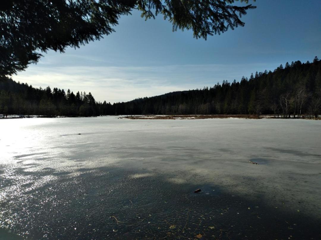 Appartement Chaleureux Au Coeur Des Hautes Vosges Ventron Eksteriør billede
